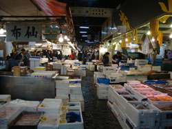 marché aux poissons tokyo voyage japon