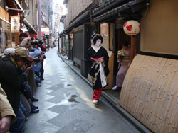 pontocho destination japon kyoto geisha