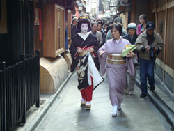 pontocho destination japon kyoto geisha